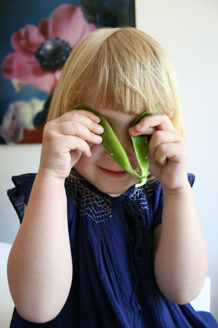 petit-pois-5