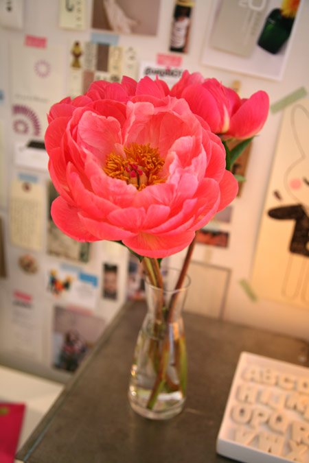 petites-choses-ici-1