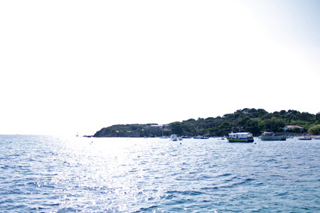 la-vie-en-bleu-3
