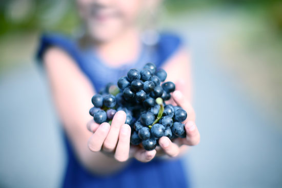 in-the-wines-2