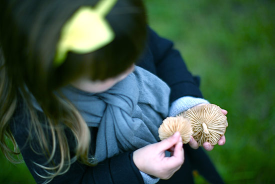 walk-of-autumn-2