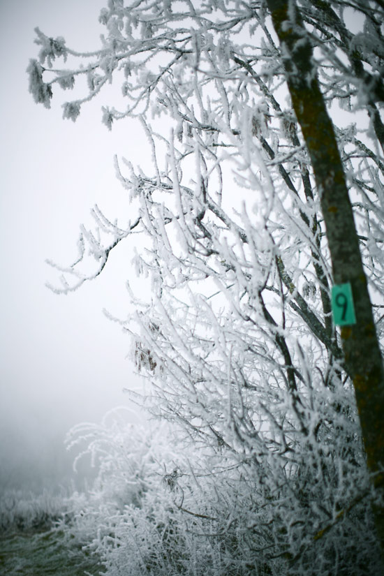 walk-of-winter-9