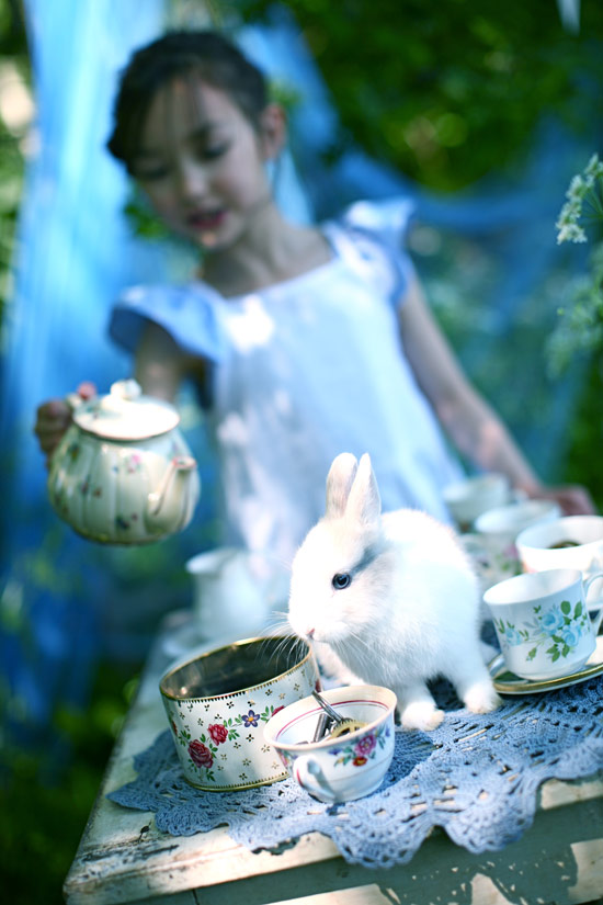 alice-17