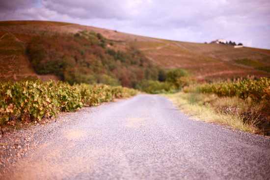 vendanges-1