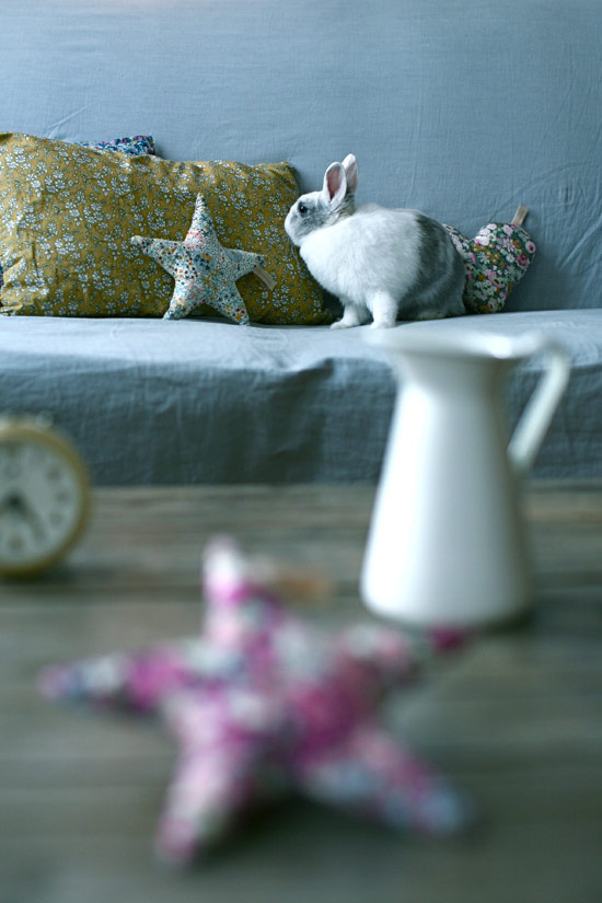 petits-assistants-3